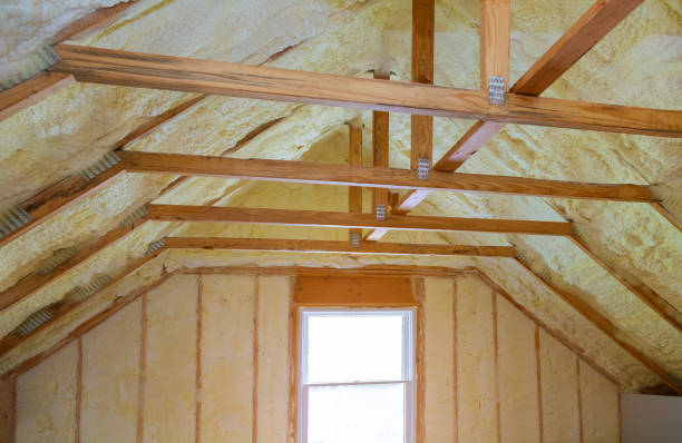 Best Insulation Maintenance and Repair in Felida, WA