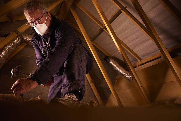 Best Geographic-Specific Insulation Services in Felida, WA